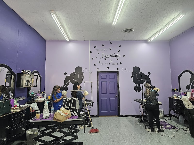Wrigley's Pet Spaw grooming salon — team at work with signature purple walls