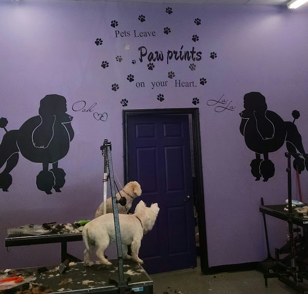 Wrigley's Pet Spaw signature purple wall with poodle murals